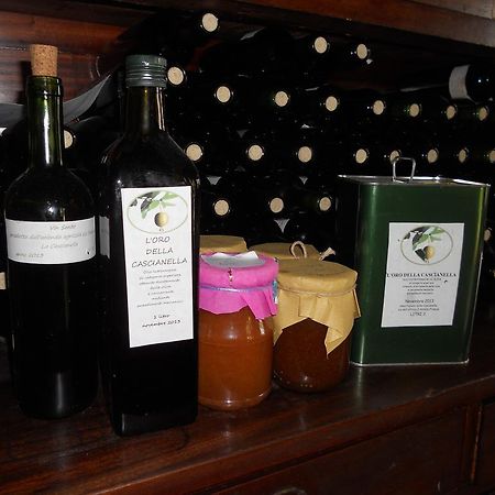 Agriturismo Le Macine 피렌체 외부 사진
