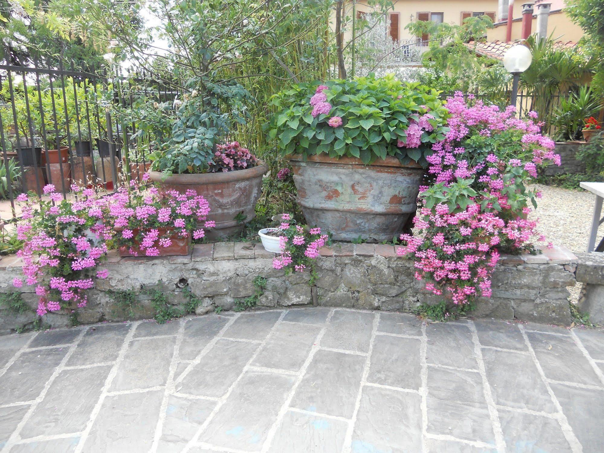 Agriturismo Le Macine 피렌체 외부 사진